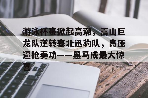 爱游戏官网游泳杯赛掀起高潮，嵩山巨龙队逆转塞北迅豹队，高压逼抢奏功——黑马成最大惊喜的简单介绍